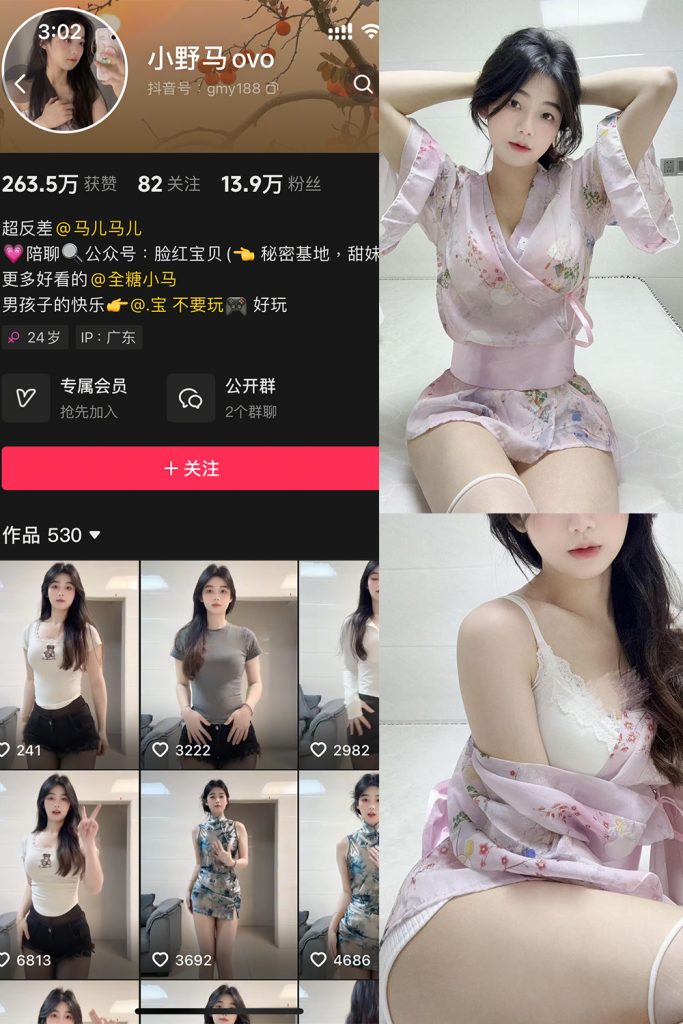 抖音 小野马ovo 微密圈 NO.004期 【22P2V】-草莓酱