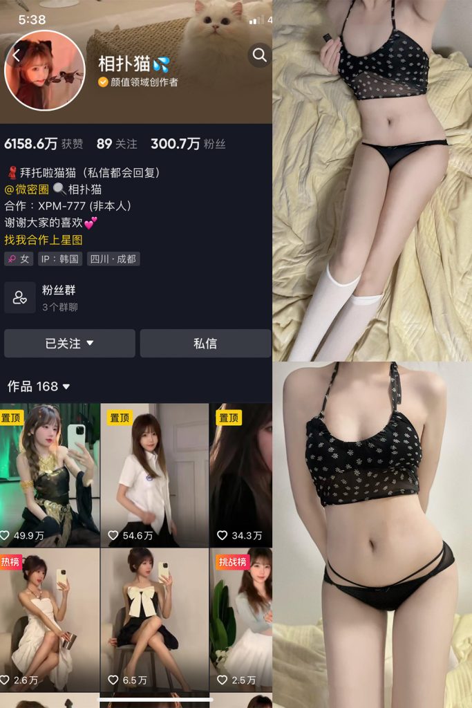 抖音 相扑猫 微密圈 嘉宾贴 NO.030期 【19P】最新至：2023.11.19-草莓酱