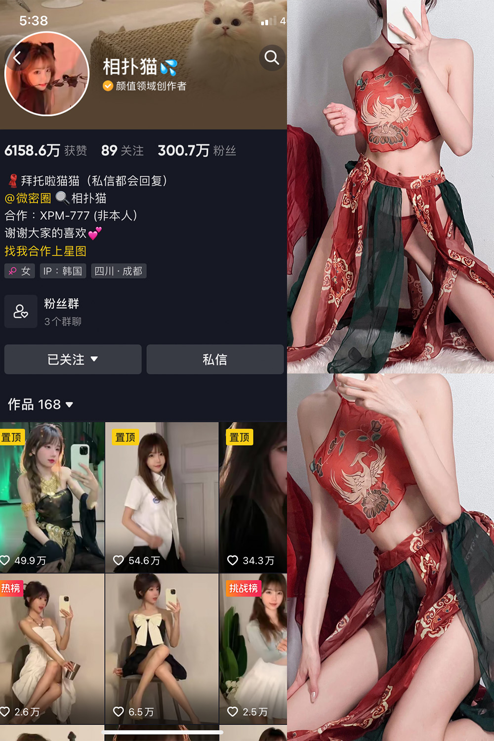 抖音 相扑猫 微密圈 嘉宾贴 NO.003期 【15P】-草莓酱