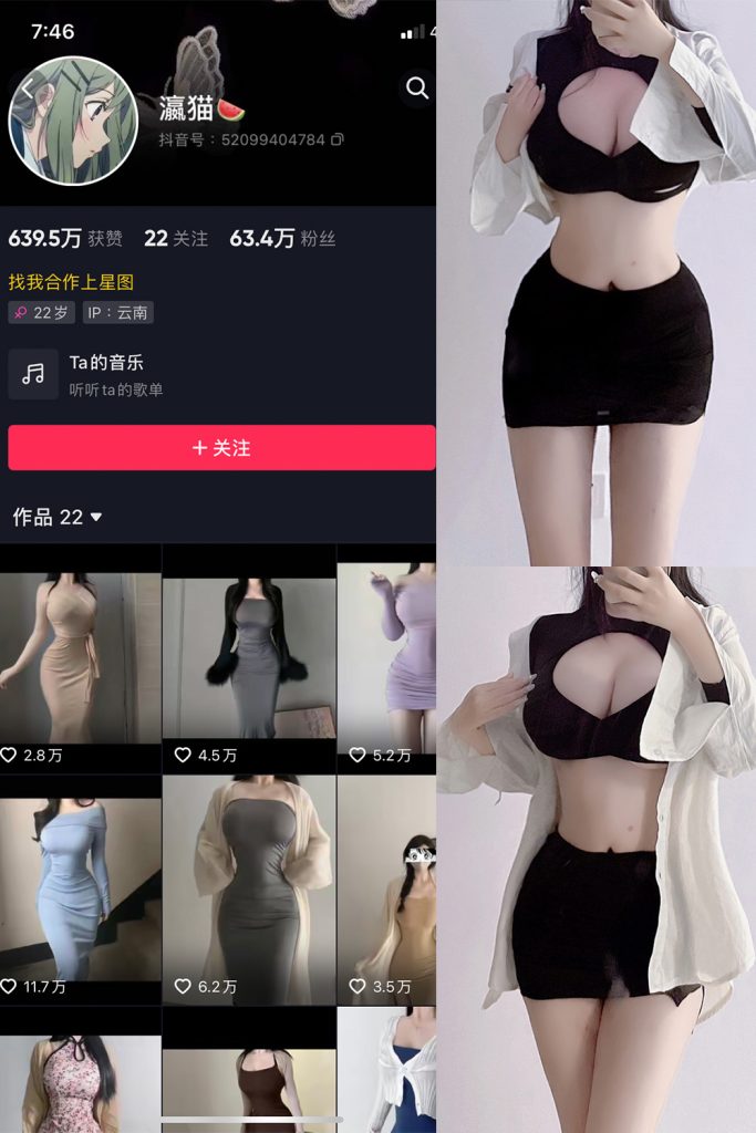 抖音 瀛猫 微密圈  NO.002期 【15P12V】-草莓酱