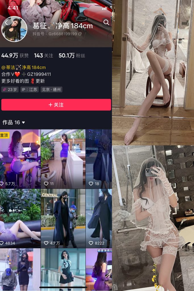 抖音 葛征 微密圈  NO.016期 【17P1V】-草莓酱