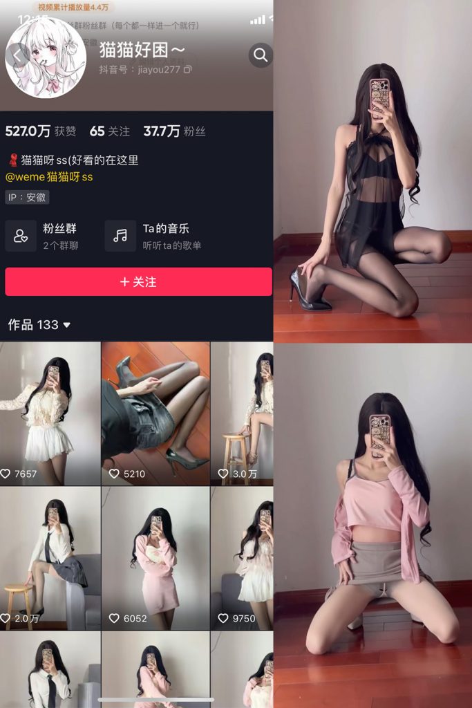 抖音 猫猫好困 微密圈  NO.009期 【12V】-草莓酱