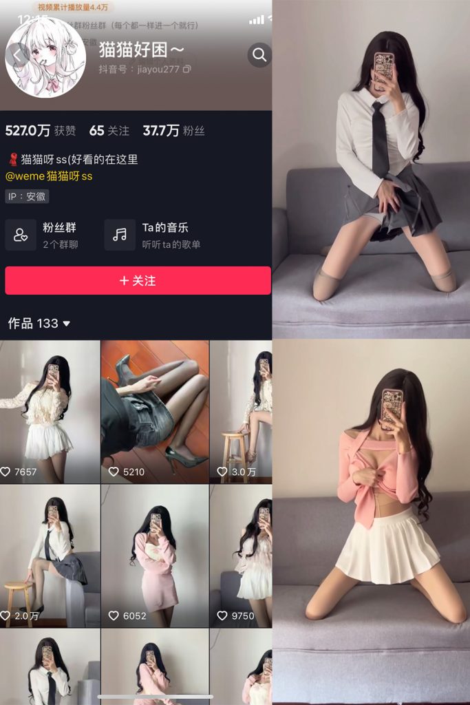 抖音 猫猫好困 微密圈  NO.006期 【24V】-草莓酱