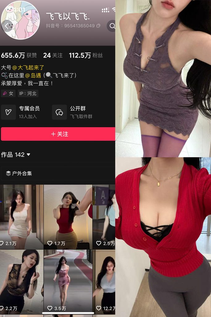 抖音 飞飞以飞飞 岛遇 NO.001期 【21P1V】-草莓酱